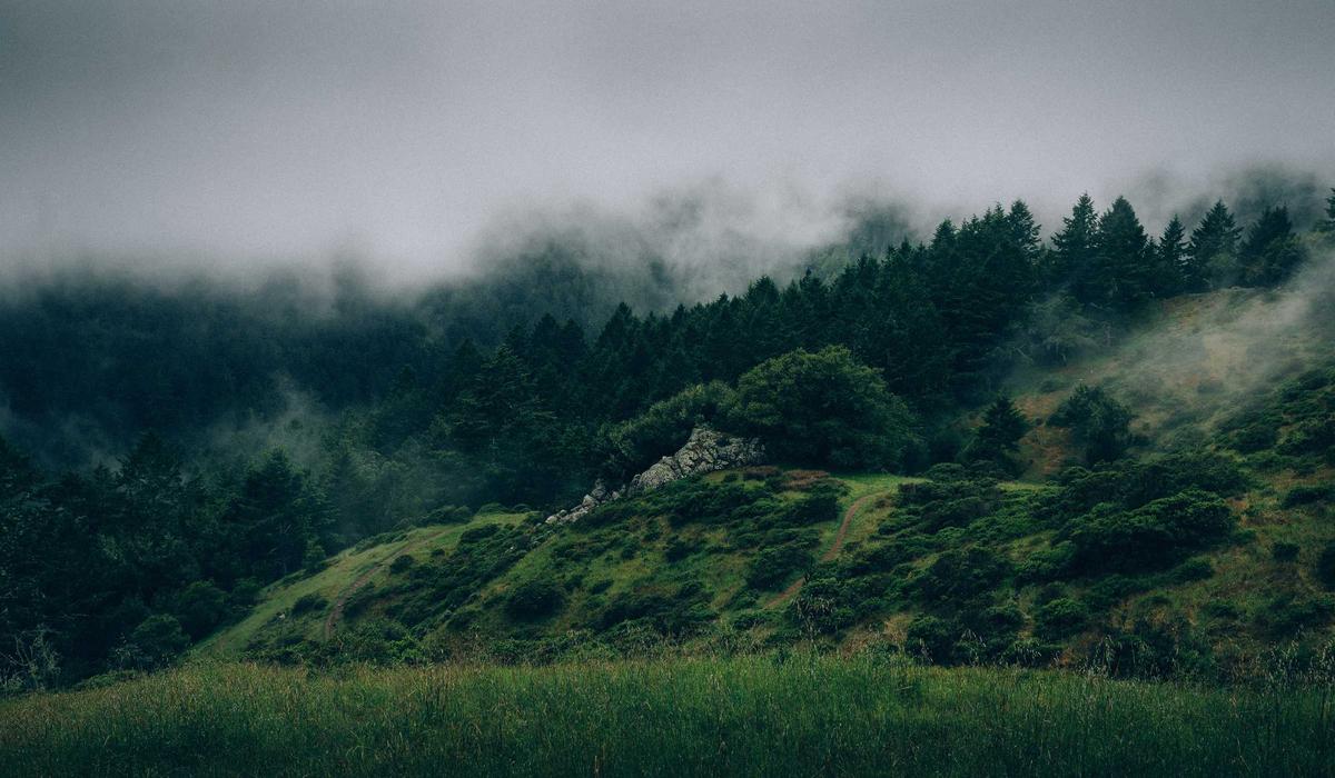 What readers should know before collecting reliable sources